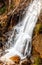 Beautiful fern falls in October, Rocky Mountain National Park