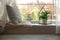 Beautiful fern, pillow and plaid on window sill indoors