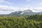 Beautiful fertile forest countryside of thailand. Sunny afternoon. Tree, sky and rolling hills. Rural scenery. View of the forest