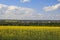 beautiful fertile Ukrainian fields