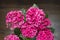 Beautiful festive gift bouquet of pink hydrangeas on a wooden background.