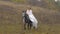 Beautiful fiancee in white dress is riding horse near wood