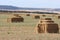 Beautiful field with alpacas straw cereal packages animal feed