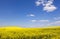 Beautiful field and clear blue sky