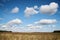 Beautiful field landscape with blue sky and white clouds and yellow stalks of wheat rye oat barley. Agricultural development in