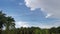 Beautiful field looking up the moving daytime cloud.