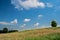 A beautiful field with many plants, green grass, wild flowers and a solitary tree. A beautiful sky with many white, fluffy clouds