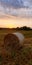 beautiful field after mowing wheat with hay reels at sunset