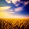 beautiful  of a field of ripe wheat against the blue sky, generative ai