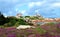 Beautiful field of wild flowers with the Phare de Ploumanac`h officially the Mean Ruz Lighthouse at the background