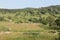 Beautiful fields in the mountains. Carpathians. Ukraine. July 2012.