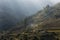 Beautiful fields of rice on trekking in Annapurna Cirquit, Nepal