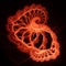Beautiful fiery fractal figure