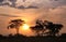 Beautiful fiery sunset in the African savannah