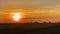 Beautiful fiery sunset in steppe. Flock of birds looks for food from remnants of harvested wheat crop in agricultural