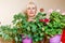 Beautiful fifty-year-old woman and blooming geranium house. . flowering pelargonium