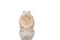 Beautiful figurine of a hare made of topaz on a white background