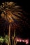 Beautiful fireworks display lights up the nighttime sky