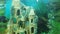 Beautiful fishes swimming in aquarium with underwater castle, hobby for relax