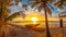 Beautiful fisheye picture of palms against a mesmerizing orange sunset in Roatan. Honduras