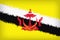Beautiful flag of Brunei closeup