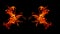 A beautiful flame shaped as imagined. like from hell, showing a dangerous and fiery fervor, black background