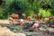 Beautiful flamingo birds standing in water pond at city zoo