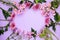 Beautiful flatlay frame arrangement with violet and pink daises, chrysanthemum and other flowers