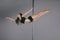 beautiful flexible athletic girl dancing with pole