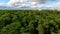 Beautiful flight over the green treetops. Trees sway in the wind. Beautiful white clouds on a blue sky.