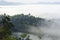 Beautiful floating fog landscape in rain forest.