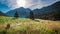 Beautiful flock of sheep grazing at sunrise, Tatra Mountains