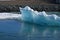 Beautiful floe with a unique shape in an Icelandic lake