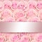 Beautiful floral background with amazing pink roses close up and silk ribbon