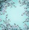 Beautiful floral background with blue blossom on light turquoise, frame.