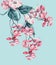 Beautiful floral composing with coral flowers blossom hanging branch on light turquoise. Floral layout