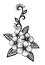 Beautiful floral element. Black-and-white flowers and leaves design element.