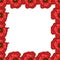 A beautiful floral frame of red poppies. Flower design for cards, banners, posters and so on. Botanical illustration.