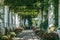 Beautiful floral passage with columns and plants overhead in garden in Anacapri, capri island, Italy