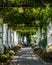 Beautiful floral passage with columns and plants overhead in garden in Anacapri, capri island, Italy