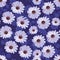 Beautiful floral seamless pattern. Collage with daisy flowers and fantasy plants on dark violet background