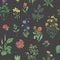 Beautiful floral seamless pattern with meadow herbs on black background. Gorgeous wild flowers and blooming herbaceous