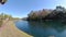 A beautiful Florida community pond in winter