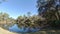 A beautiful Florida community pond in winter