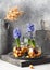 Beautiful floristic decoration with blue grape hyacinthine flowers and onion sets in the glass jars on a vintage metal tray.