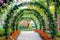 Beautiful flower arches with walkway in ornamental plants garden