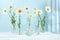 Beautiful flower arrangement with white daisies in a vase, empty product podium, Premium stage for product showcase and business