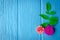 Beautiful flower on blue background,top view ,break time,empty space.
