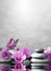 Beautiful flower, butterfly and stone zen spa on grey background