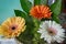 Beautiful flower composition. Bouquet of colorful nice gerbera